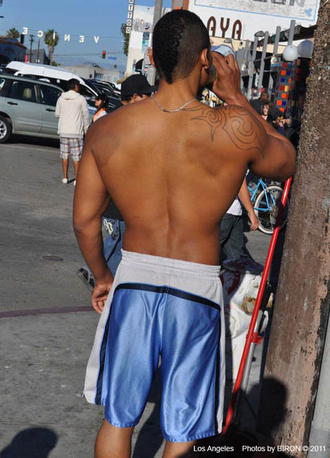 DSC_7351