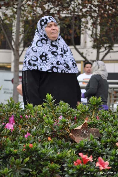 DSC_5546