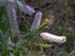 DSCN1217